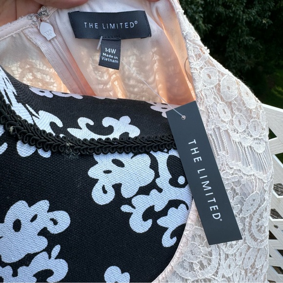 NWT The Limited Lace Mini Dress - Picture 5 of 5